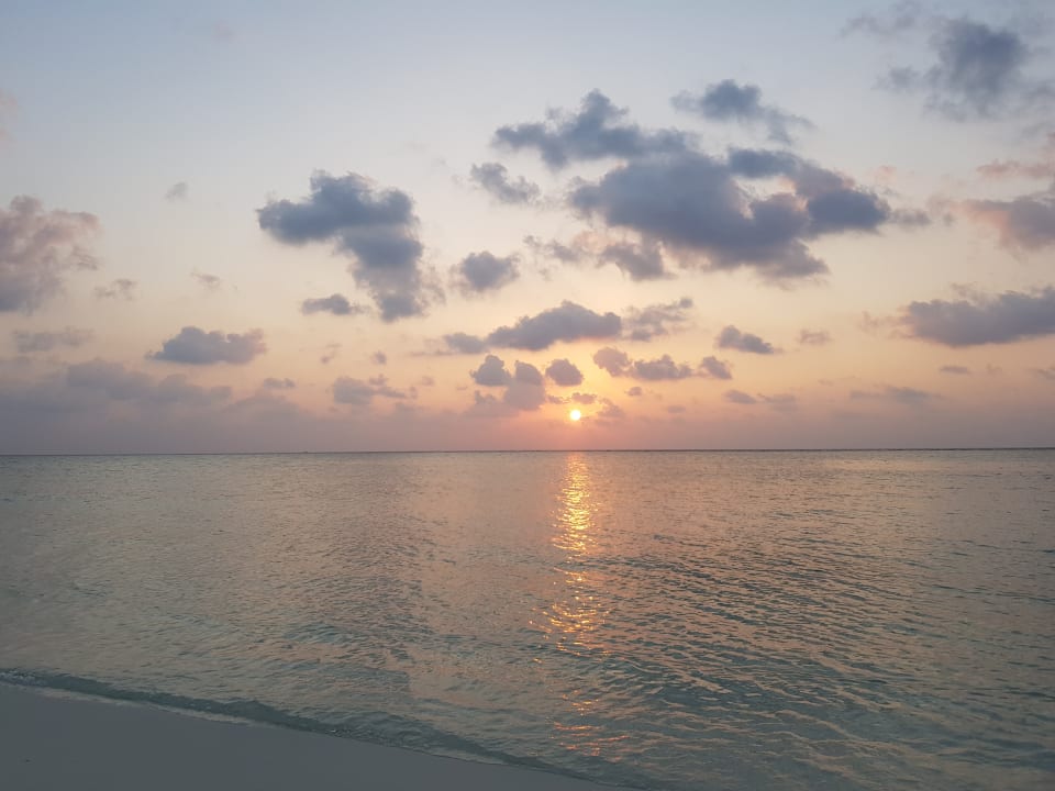 Ausblick Summer Island Maldives