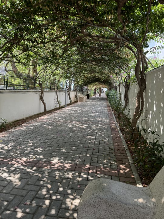 Gartenanlage Alaiye Resort & Spa