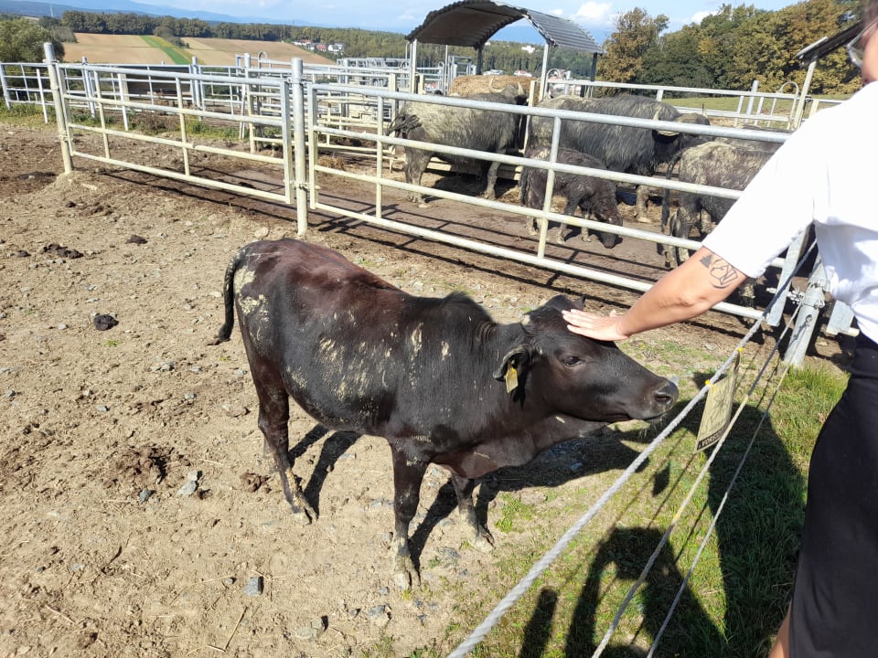 Sport & Freizeit Hotel Reiters Supreme