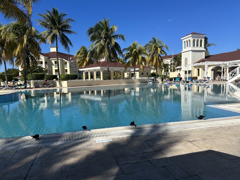 Pool Iberostar Origin Playa Alameda