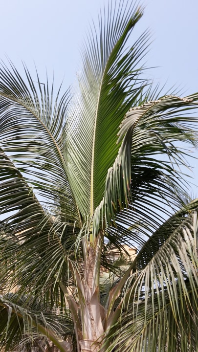 Gartenanlage DoubleTree by Hilton Resort & Spa Marjan Island