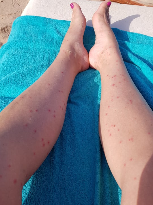 Strand Shams Prestige Abu Soma-Adults Only