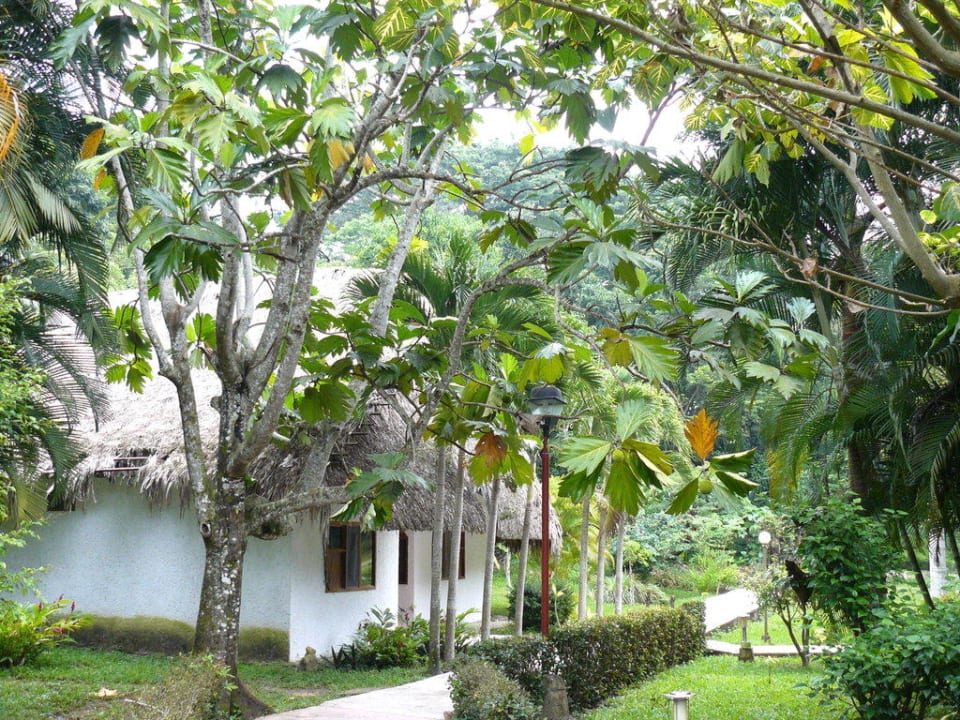 Ogród Hotel & Villas Kin Ha