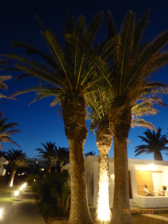 Gartenanlage Civitel Creta Beach