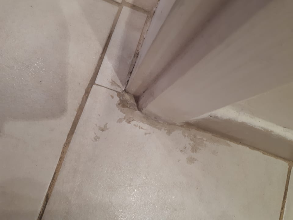 Zimmer Domes Aulūs Zante, Autograph Collection