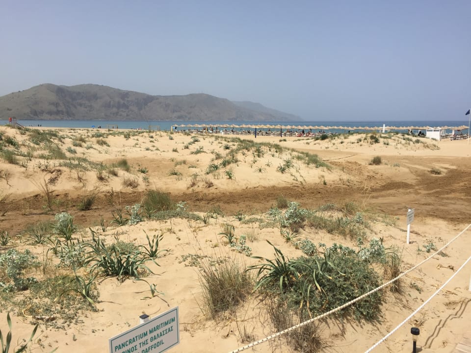 Strand Anemos Luxury Grand Resort