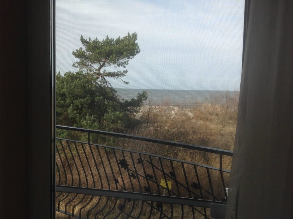 Vom Balkon  Villa del Mar