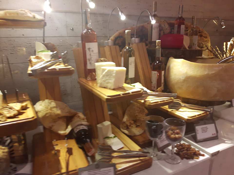 Gastro Acanthus Cennet Barut Collection