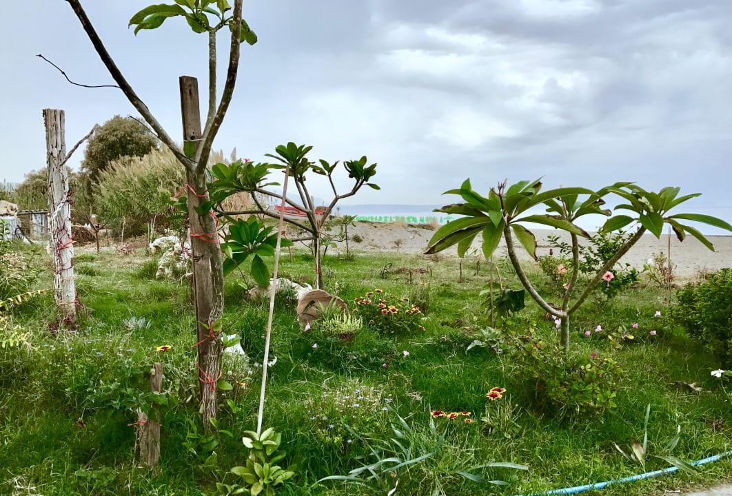 Gartenanlage Hotel Kathrin Beach