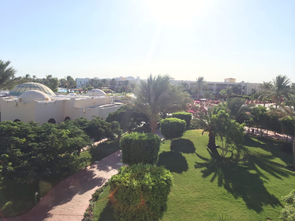 Gartenanlage Desert Rose