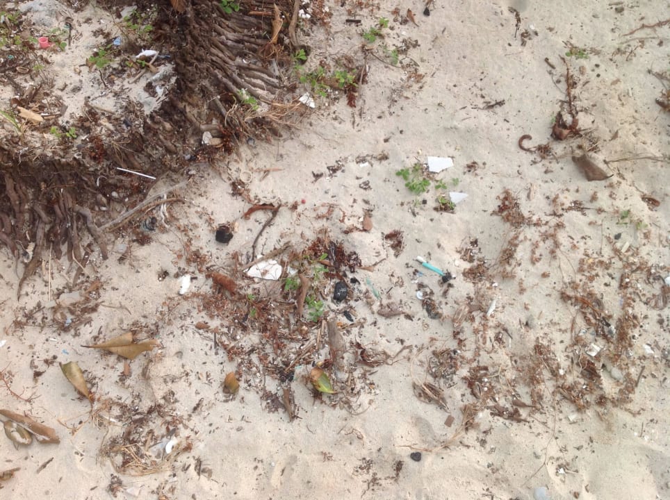 Strand voller Plastikmüll Crystal Bay Yacht Club Beach Resort