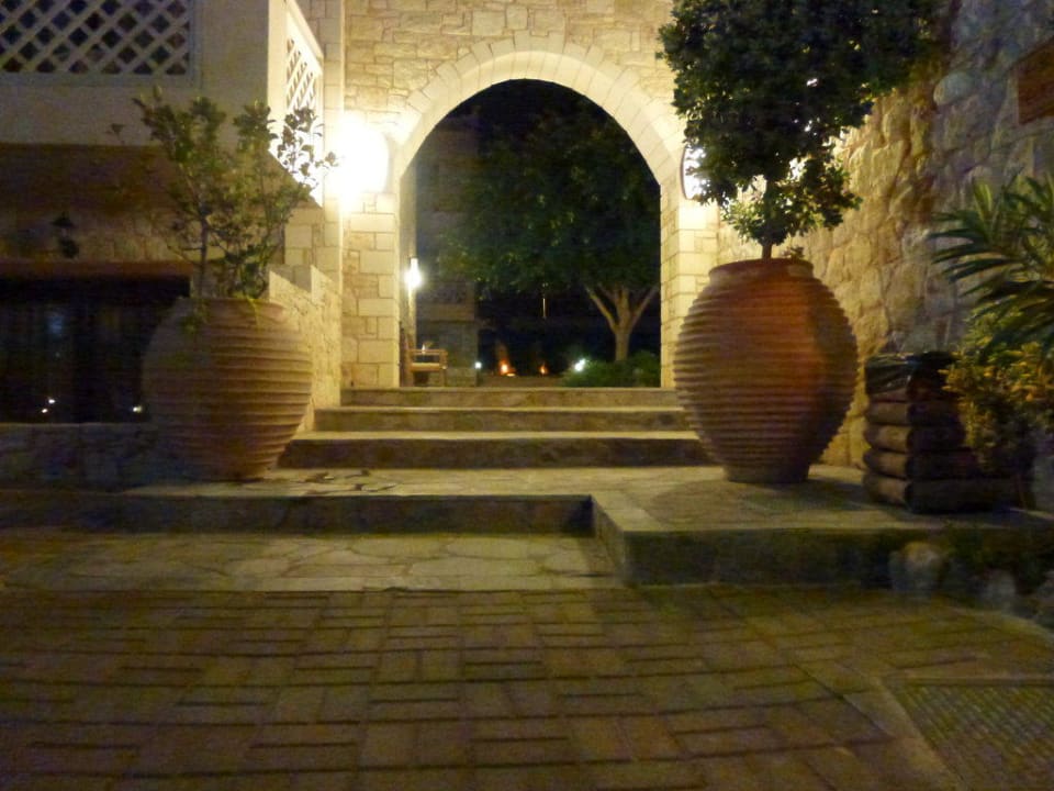 Innenhof Cactus Royal