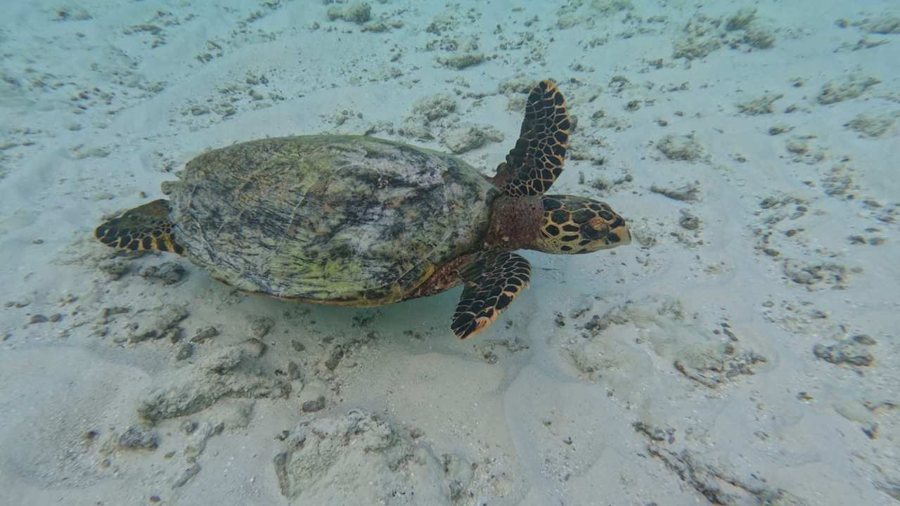 Sonstiges Safari Island Maldives