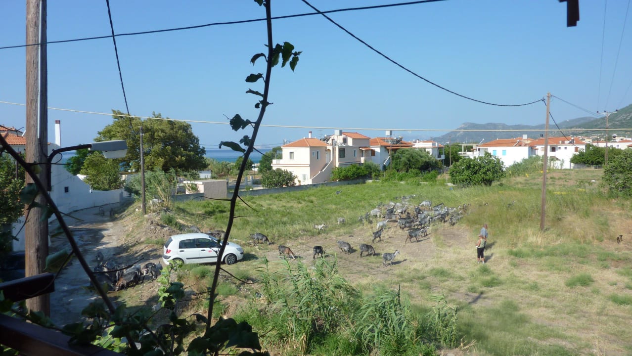 Ausblick auf den Hinterhof Hotel Albatros