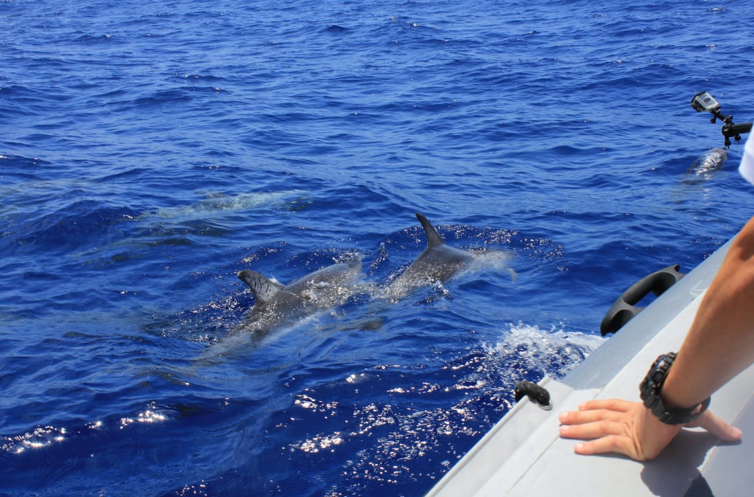 Sport & Freizeit Kihaa Maldives