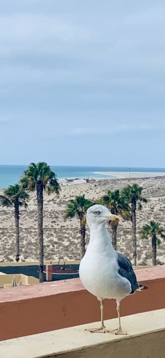 Ausblick H10 Playa Esmeralda - Adults only