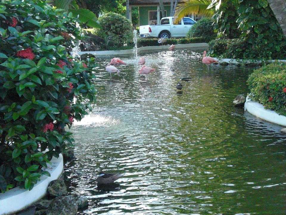 Schöne Anlage an der Lobby Grand Palladium Select Bávaro Resort & Spa