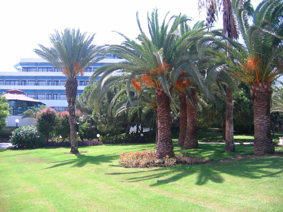 Территория отеля Sunrise Resort Hotel