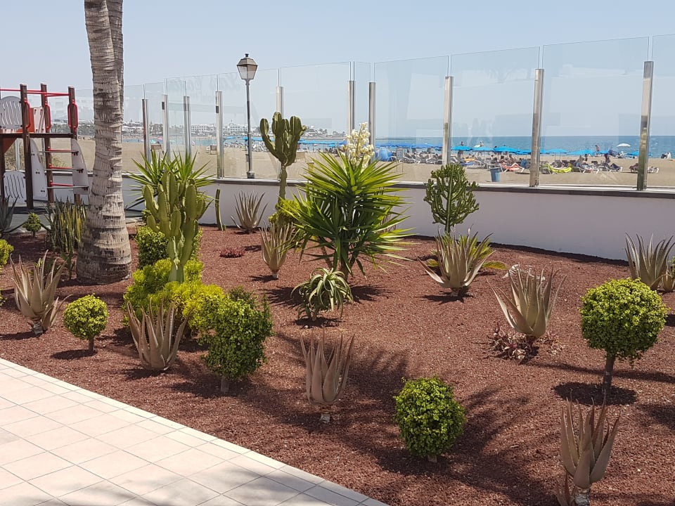 Gartenanlage Hotel Las Costas