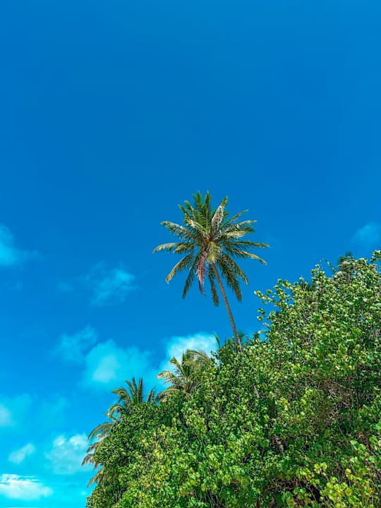 Ausblick Malahini Kuda Bandos Resort