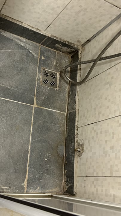 Zimmer Clover Magic Nova Beach