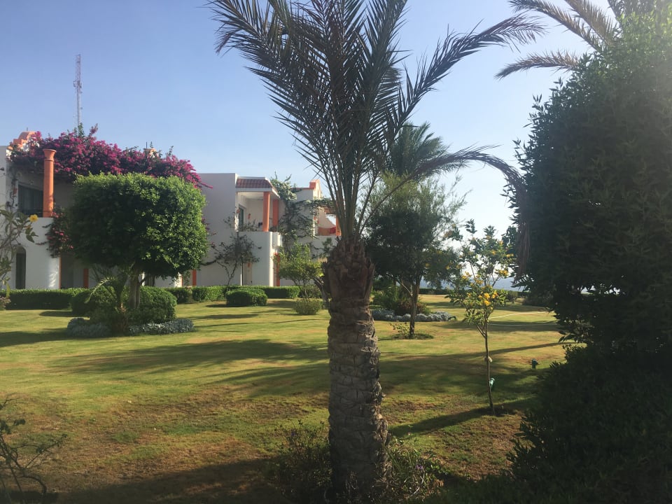 Gartenanlage Fantazia Resort Marsa Alam