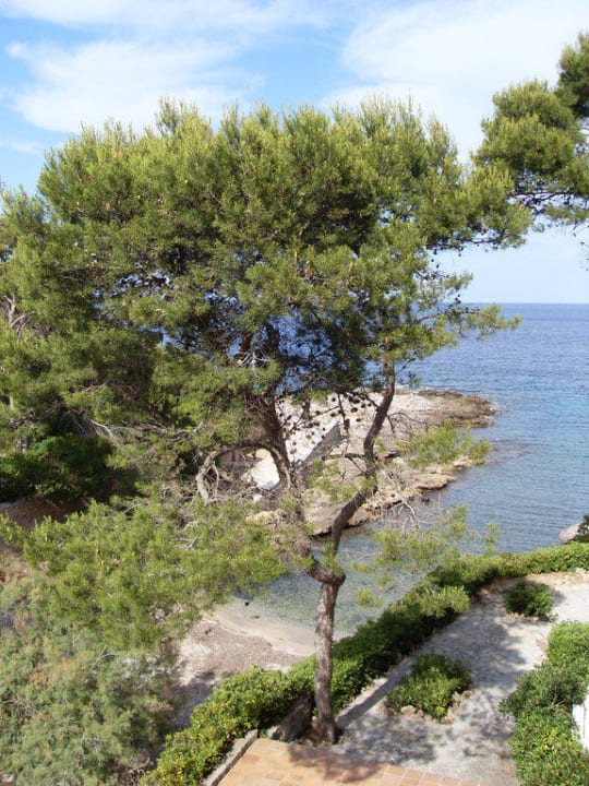 Bucht Grupotel Aguait Resort & Spa - Adults only