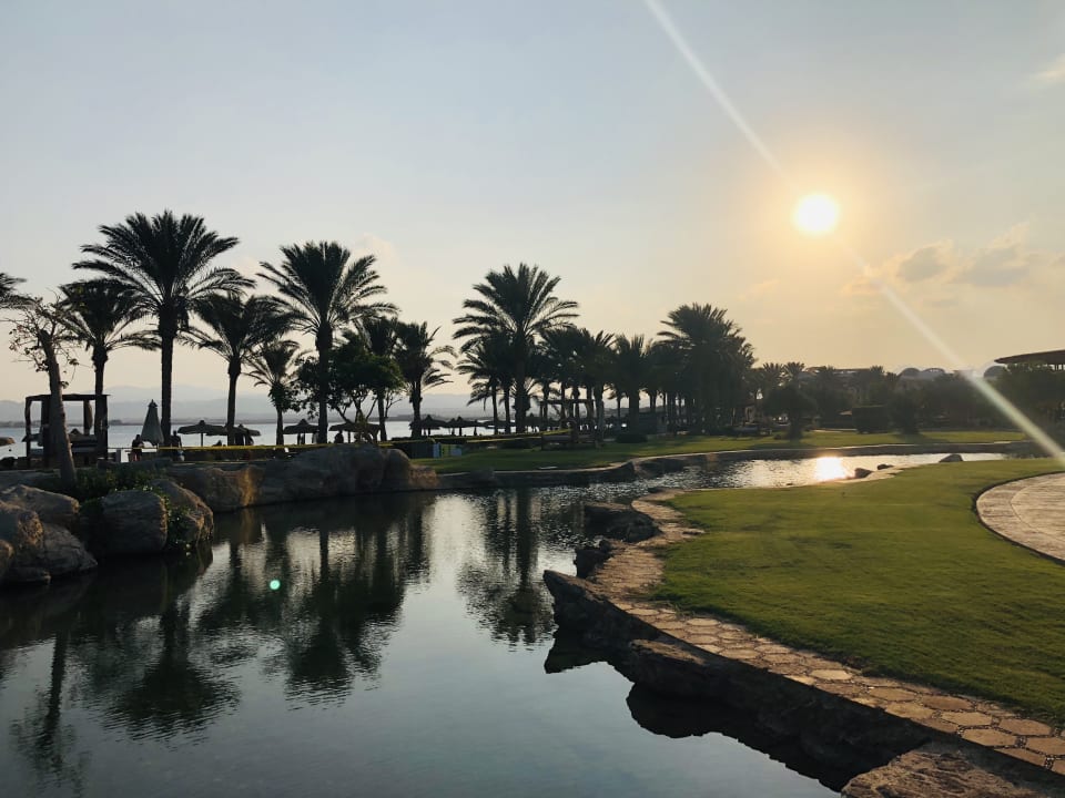 Gartenanlage Palm Royale Resort - Soma Bay