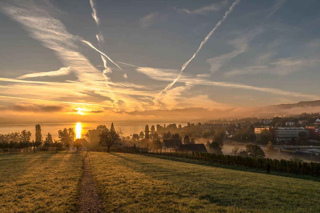 Aussicht über den Zürichsee Landgasthof Halbinsel Au