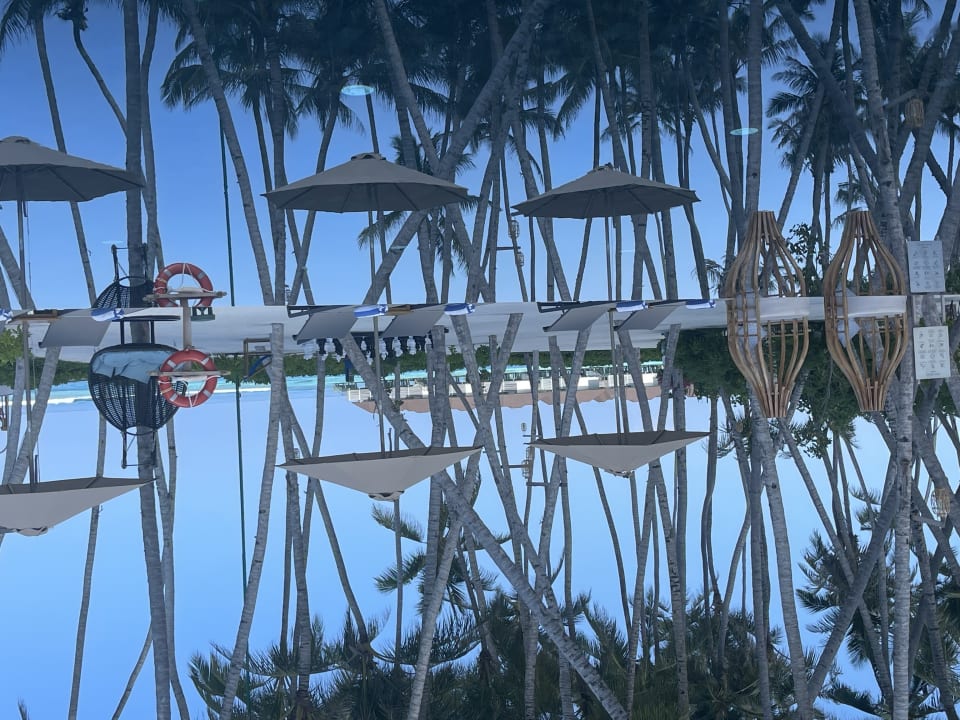 Pool TUI BLUE Olhuveli Romance