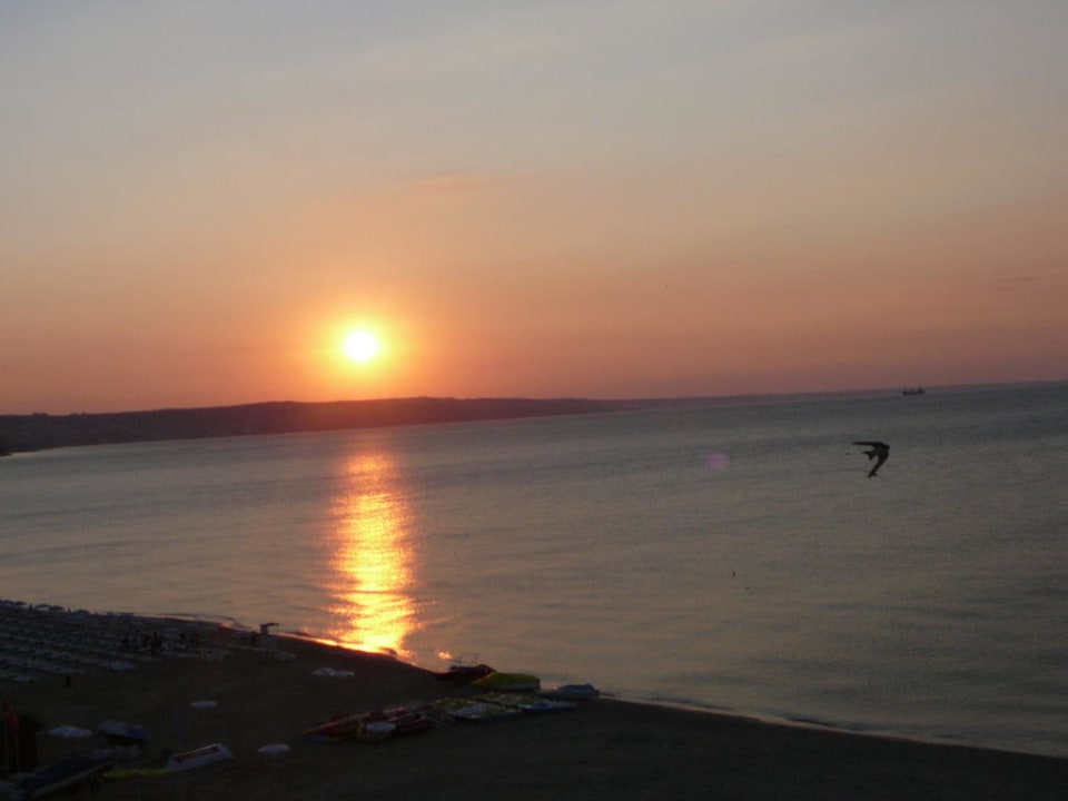 Wschód Hotel Borjana