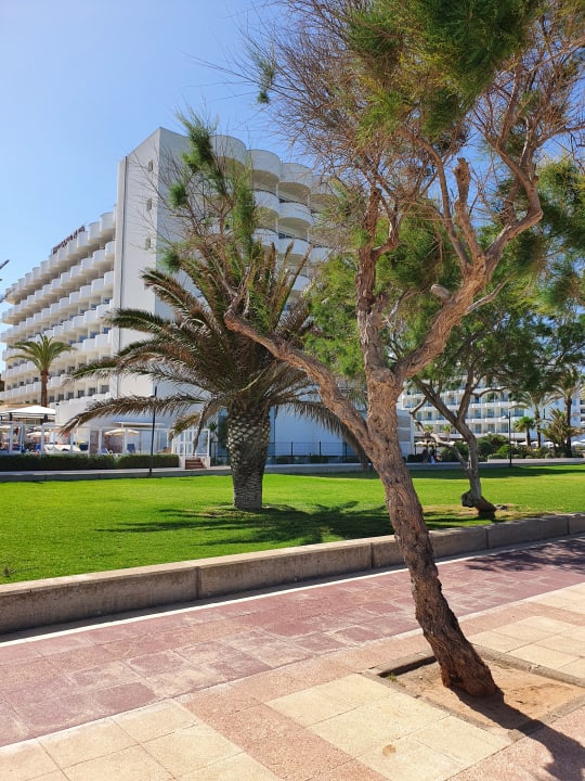 Außenansicht Hipotels Hipocampo Playa
