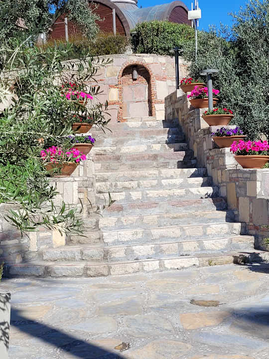 Gartenanlage Arum Barut Collection