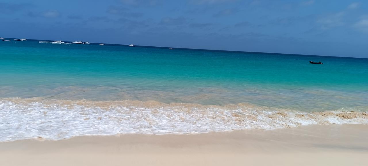 Strand Oasis Salinas Sea