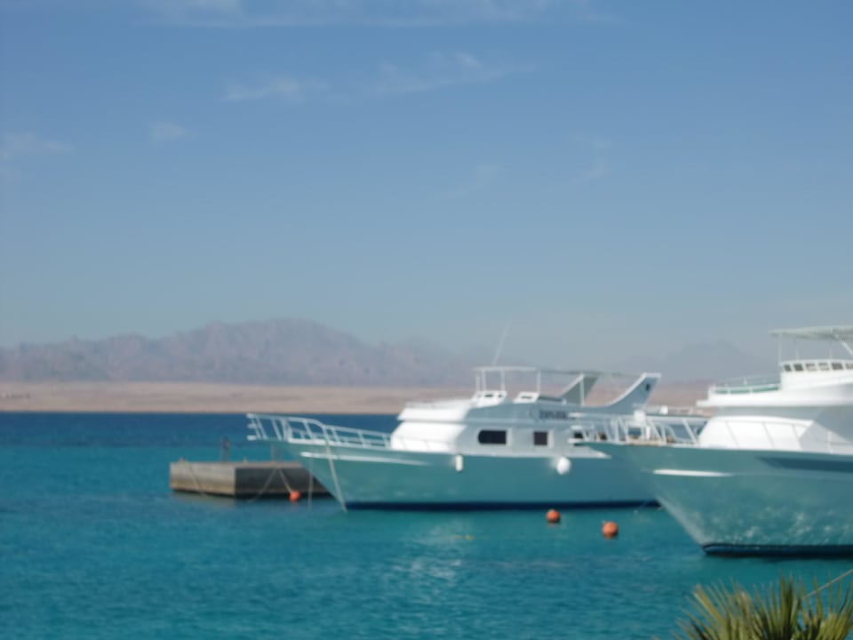 Der kleine Hafen Hotel Sheraton Soma Bay Resort