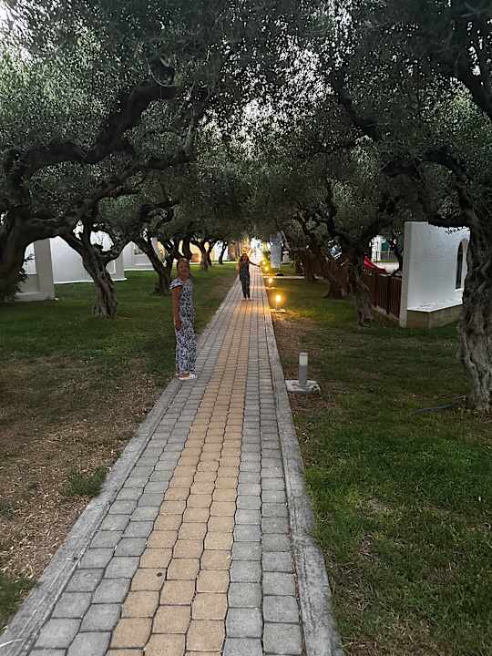 Gartenanlage TUI KIDS CLUB Alex Beach