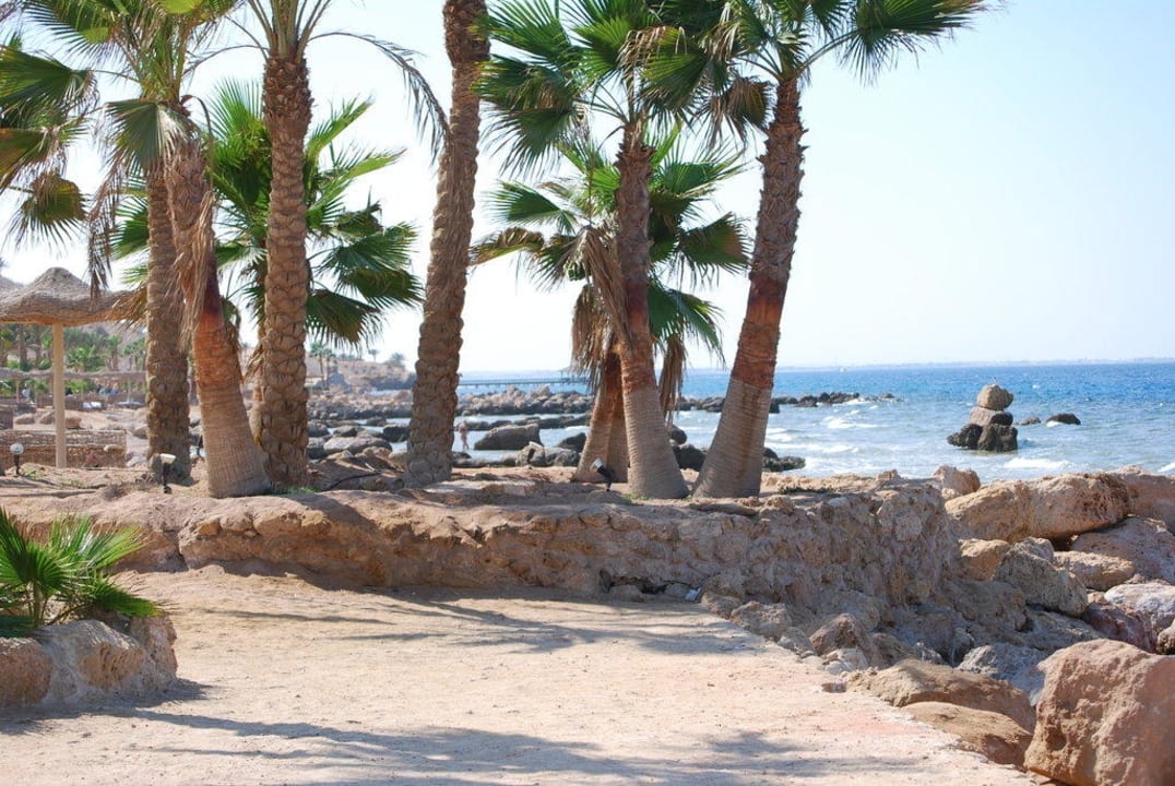 Hotel-Strand Pickalbatros Citadel Resort