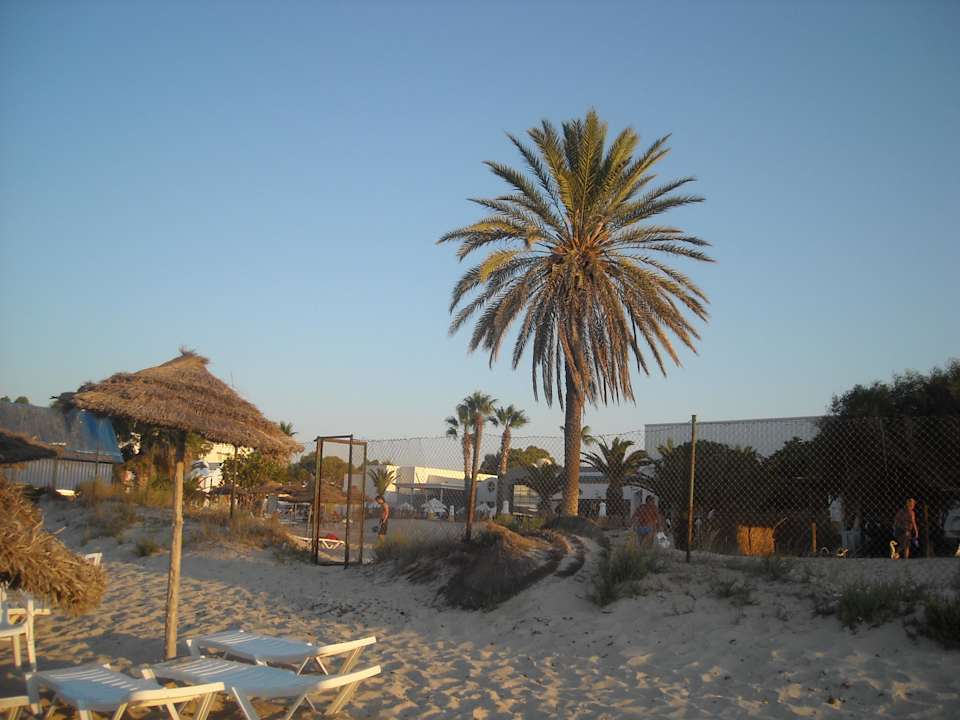 Hotel Club Eden   Eden Club