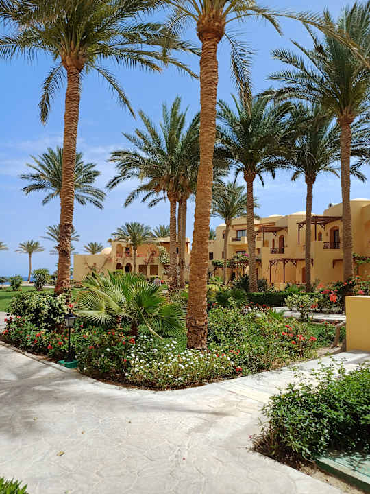 Gartenanlage Steigenberger Coraya Beach - Adults only