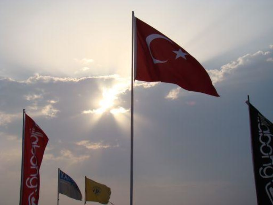 Joy pegasos world AQI Pegasos World