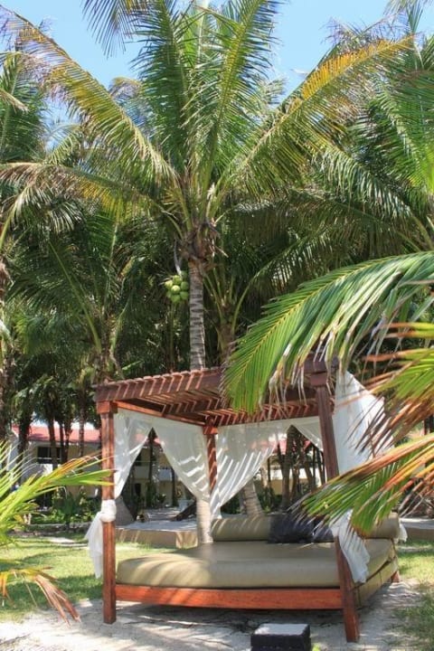 Strand TUI BLUE El Dorado Seaside Suites