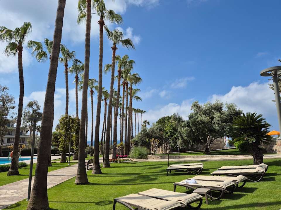 Gartenanlage Arum Barut Collection
