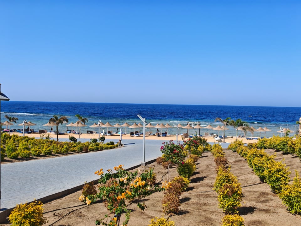 Strand Pickalbatros Vita Resort - Portofino Marsa Alam