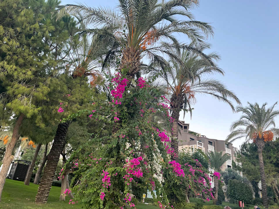 Gartenanlage PALOMA Perissia