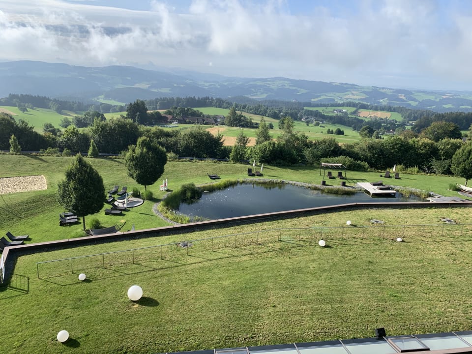 Ausblick AVIVA make friends