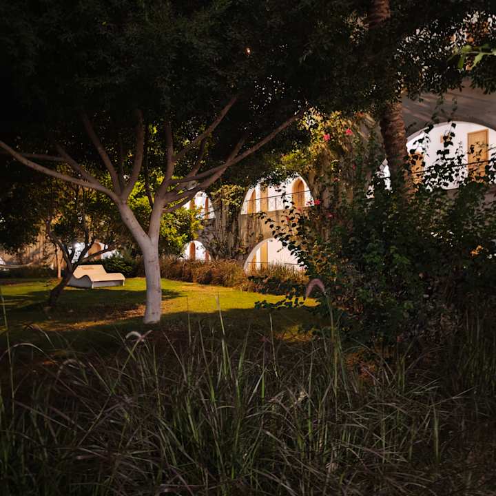 Sonstiges Desert Rose