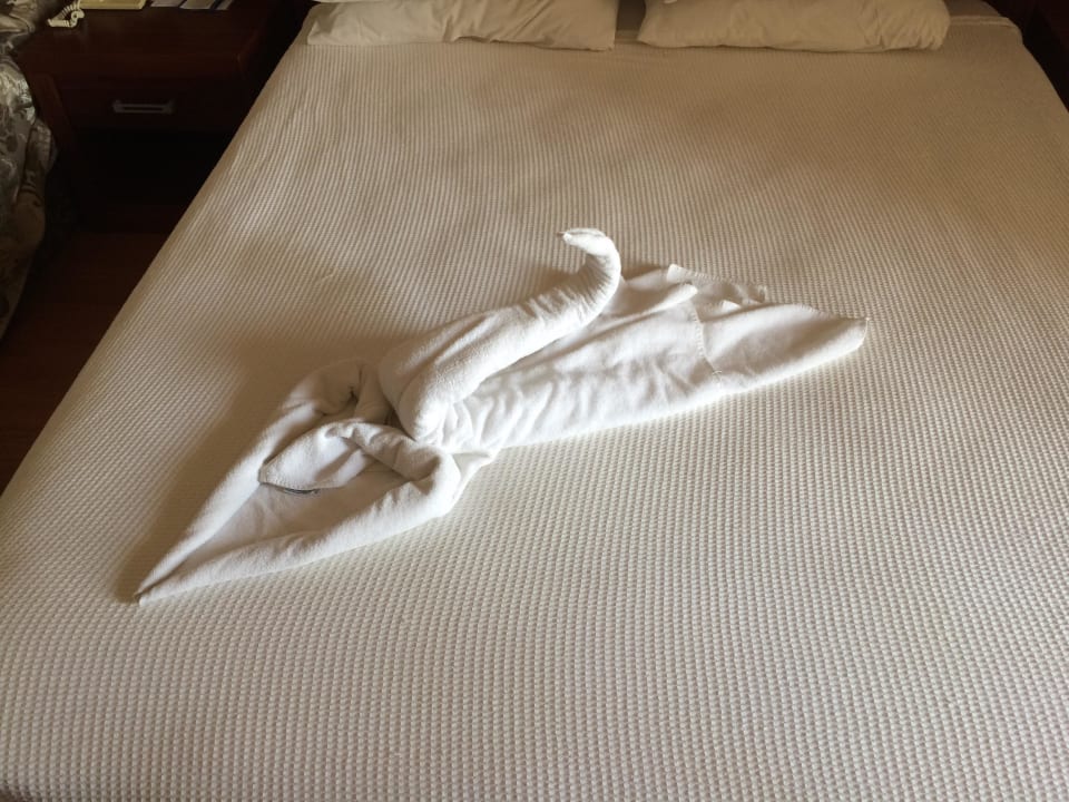 Handtuchkunst Vita Silva Hotel