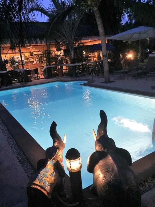 Pool Bee Nat Garden Resort