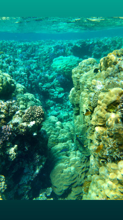 Strand Imperial Shams Abu Soma