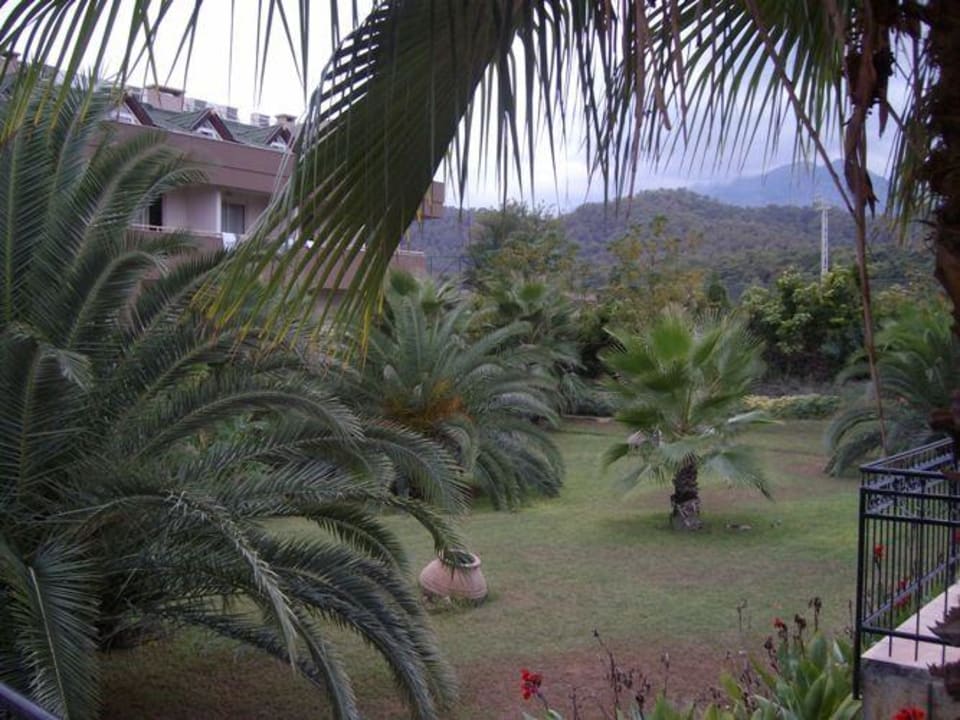 Garten Armas Gül Beach